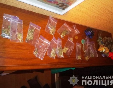 Кропивничани організували інтернет-магазин з продажу наркотиків