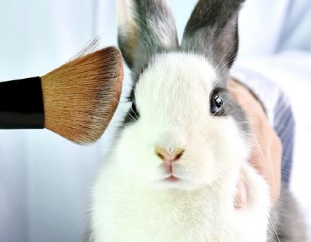 В Україні хочуть підвищити вимоги до косметики й заборонити випробування на тваринах