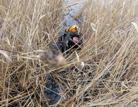 На Кіровоградщині з водойми дістали потопельника