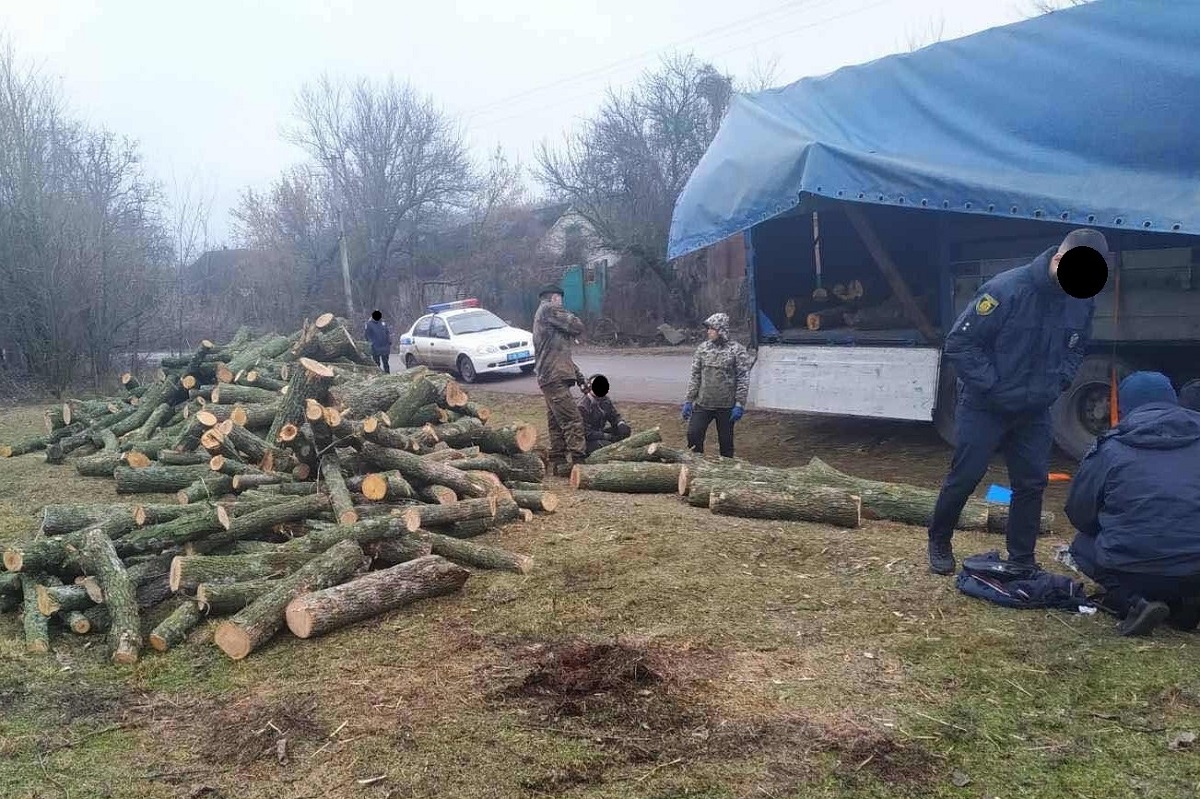 Лісорубу, який знищив майже на 3 мільйони дерев на Кіровоградщині, оголосили підозру