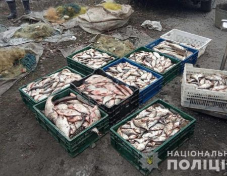 У Світловодську викрили браконьєрів, які незаконно виловили риби на майже 200 тисяч