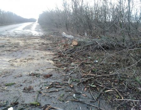 Сильний вітер пошкодив дорожні знаки на Кіровоградщині. ФОТО