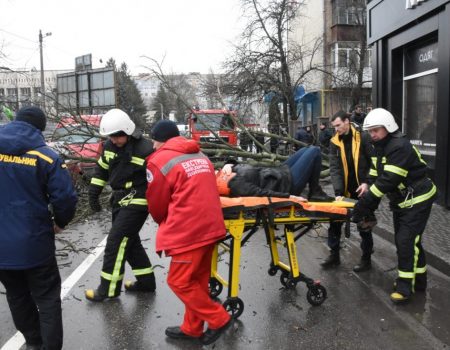 Кропивничанка, на яку впало дерево, знаходиться в лікарні в задовільному стані