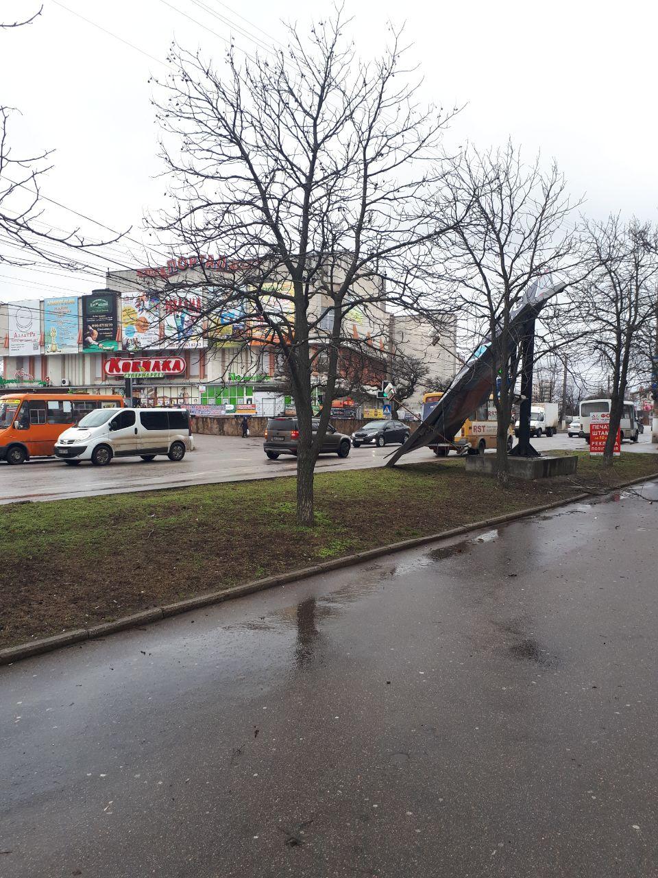 Зірвані білборди, повалені дерева та одна постраждала &#8211; наслідки стихії в Кропивницькому й області. ФОТО