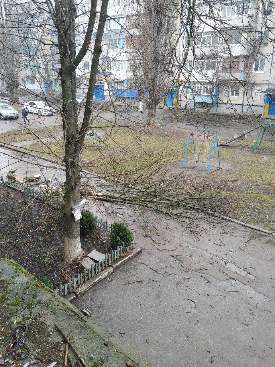 Зірвані білборди, повалені дерева та одна постраждала &#8211; наслідки стихії в Кропивницькому й області. ФОТО