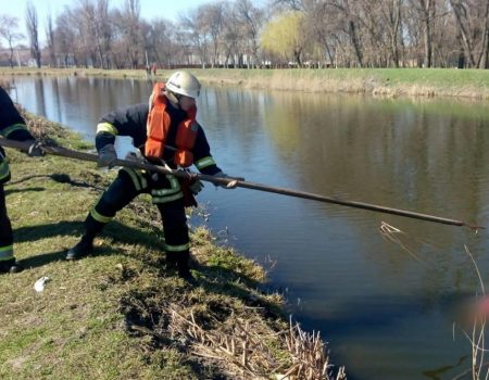 У річці в Олександрії знайшли тіло чоловіка