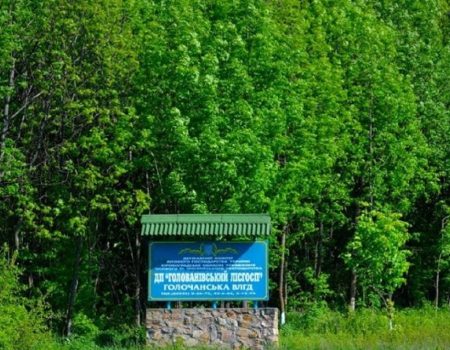 Один із лісгоспів Кіровоградщини оштрафували на понад мільйон гривень