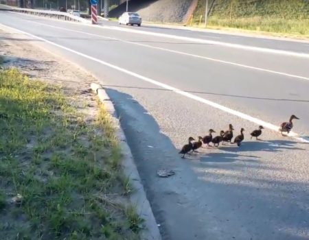 В уряді вирішили, що ходити по вулиці можна більше, ніж по двоє