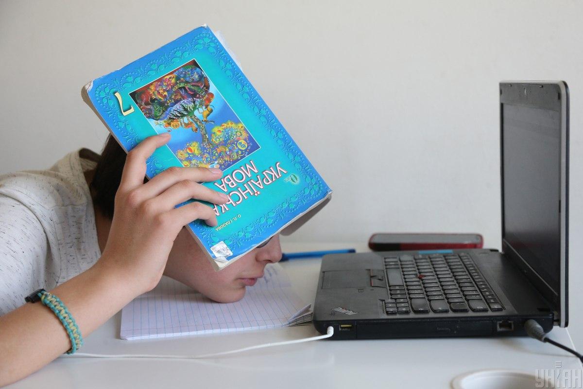 4 тисячі школярів Кіровоградщини навчаються вдома