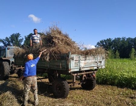 Лісівники Кіровоградщини  заготовляють корм на зиму для диких тварин