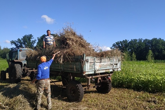 Лісівники Кіровоградщини  заготовляють корм на зиму для диких тварин
