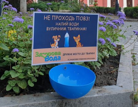 На вулицях Кропивницького встановили “поїлки” для бездомних тварин. ФОТО