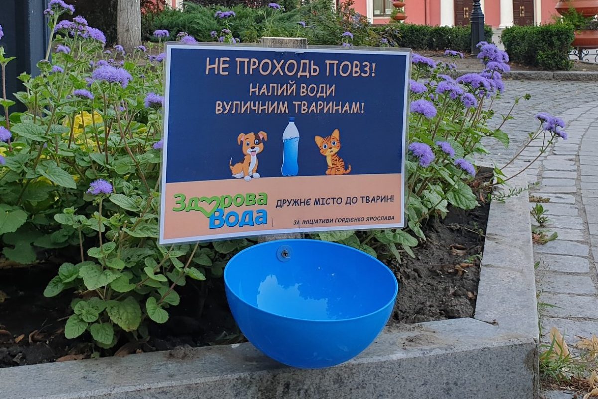 На вулицях Кропивницького встановили &#8220;поїлки&#8221; для бездомних тварин. ФОТО
