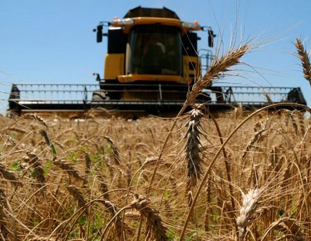 Аграрії Кіровоградщини отримали більше мільярда кредитних коштів на посівну кампанію