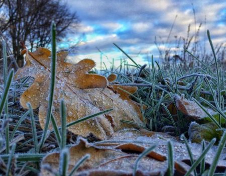 Кіровоградщина: синоптики попередили про заморозки на поверхні ґрунту