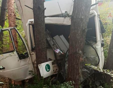 У Кропивницькому вантажівка врізалась в електроопору і дерево. ФОТО