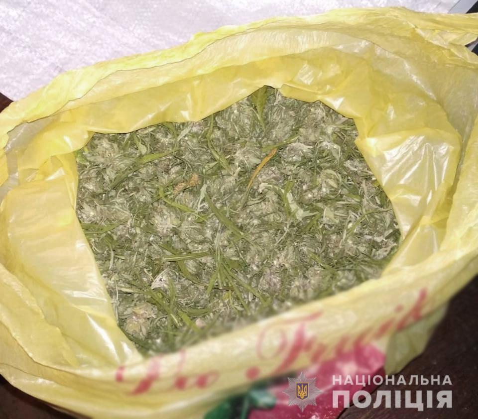 Поліцейські вилучили у жителів Кіровогращини близько двох кілограмів наркотиків