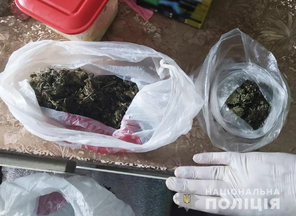 Поліцейські вилучили у жителів Кіровогращини близько двох кілограмів наркотиків