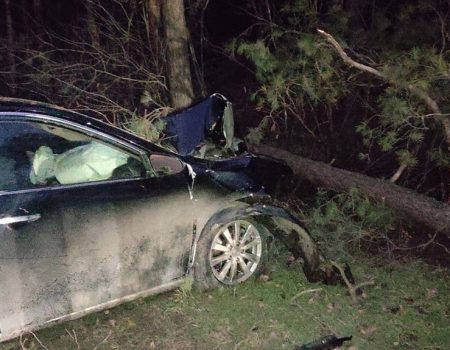 У Кропивницькому водій Toyota Camry в’їхав у дерево. ФОТО