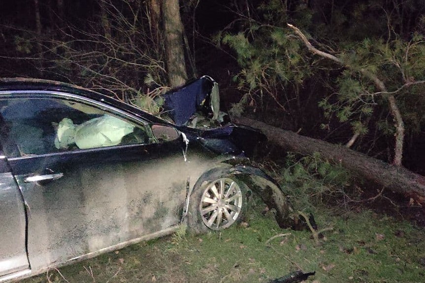 У Кропивницькому водій Toyota Camry в&#8217;їхав у дерево. ФОТО