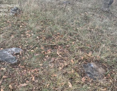 На Кіровоградщині сільському голові повідомили підозру через вирубку дерев