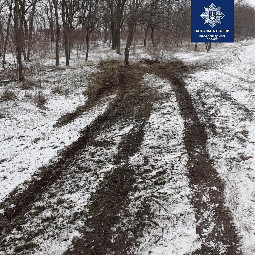 п'яний водій, алкоголь, ВАЗ, ДТП