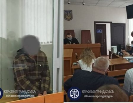 На Кіровоградщині винесли вирок водію, який насмерть збив 11-річну дівчинку в Бережинці