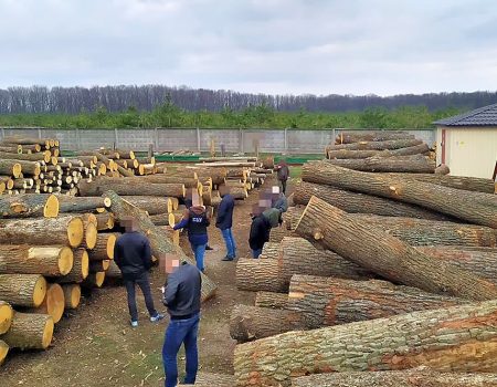 В Управлінні лісового господарства відкидають звинувачення СБУ в контрабанді