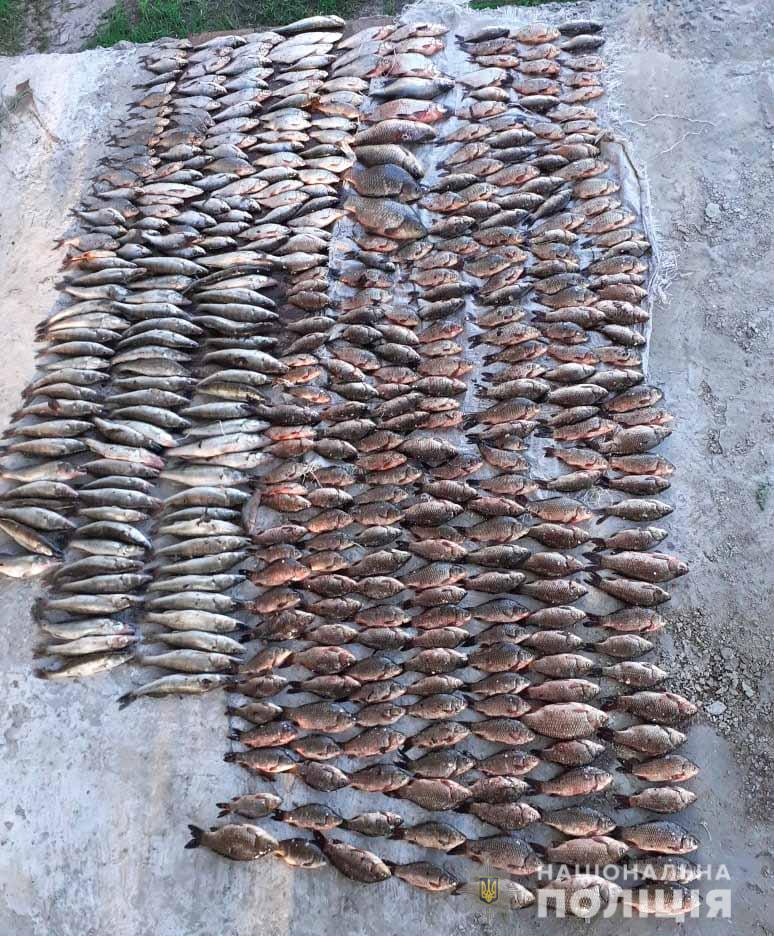 Під час нересту на Кіровоградщині в браконьєрів вилучили 800 кг риби