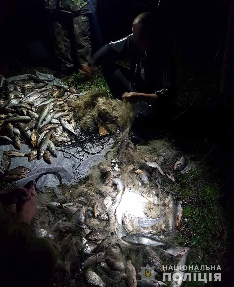 Під час нересту на Кіровоградщині в браконьєрів вилучили 800 кг риби