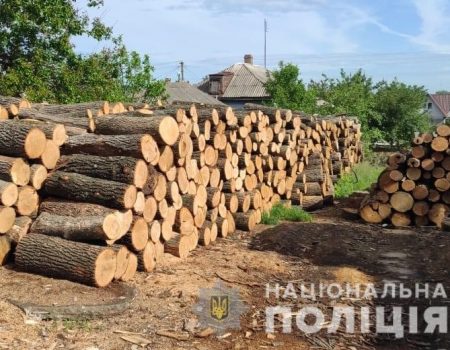 На Кіровоградщині затримали групу осіб за вирубку лісосмуг. ФОТО