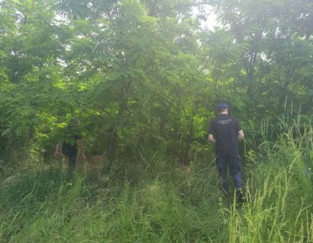 Жінку з Кропивницького району, яку шукали поліція, нацгвардія й рятувальники, знайшли мертвою