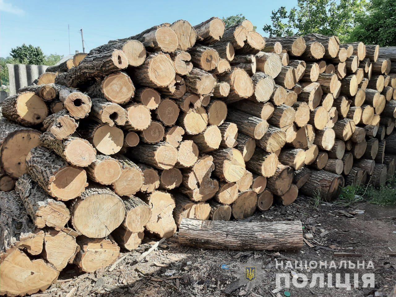 На Кіровоградщині затримали групу осіб за вирубку лісосмуг. ФОТО