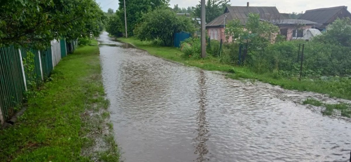 На Кіровоградщині через дощі підтопило садиби. ФОТО