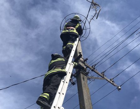 На Гайворонщині рятувальники і селяни встановили лелекам нове гніздо