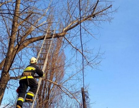 На Кіровоградщині керівника підрозділу ДСНС судитимуть за смерть підлеглого