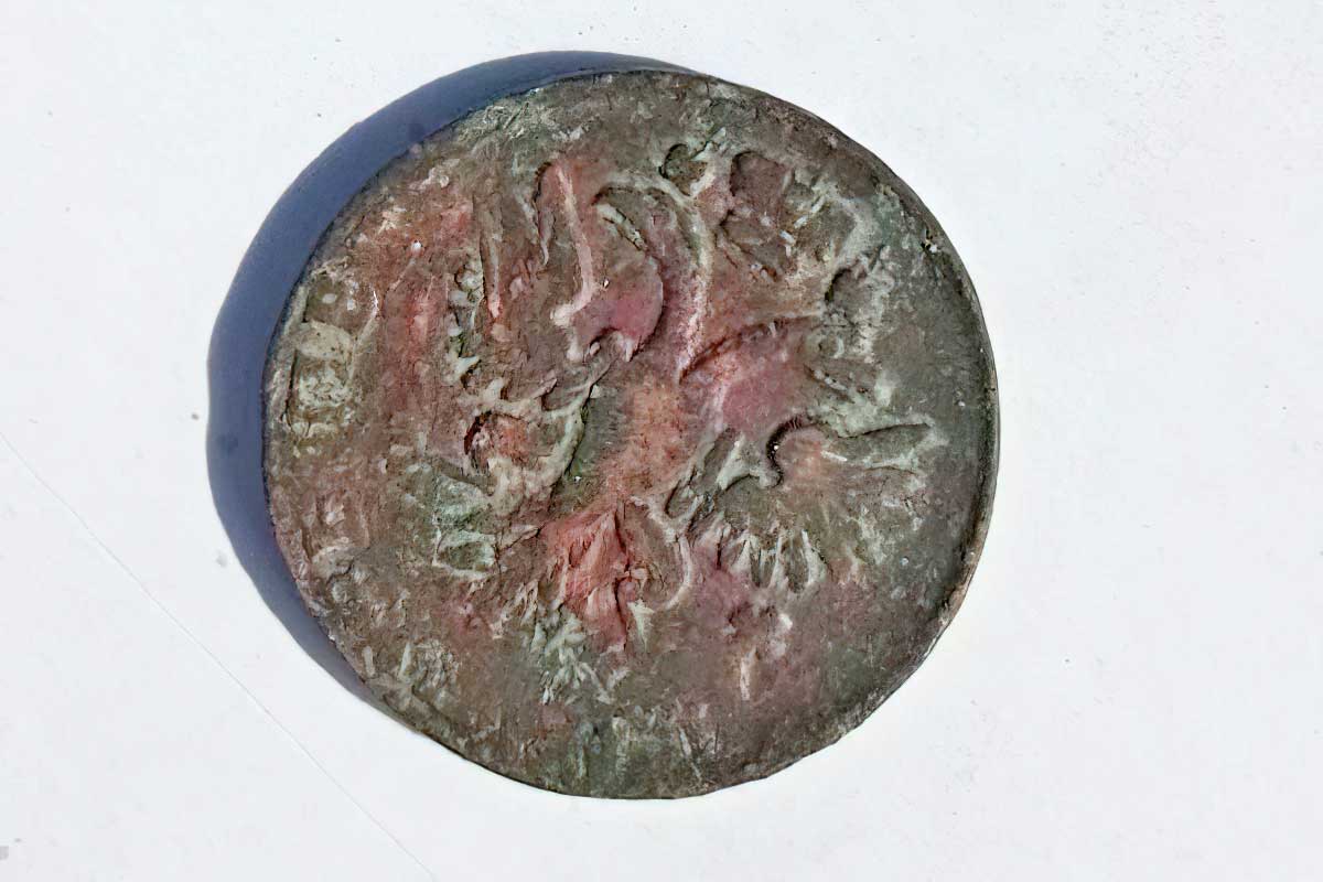 Під час охоронних розкопок фортеці в Кропивницькому знайшли монету часів Петра І