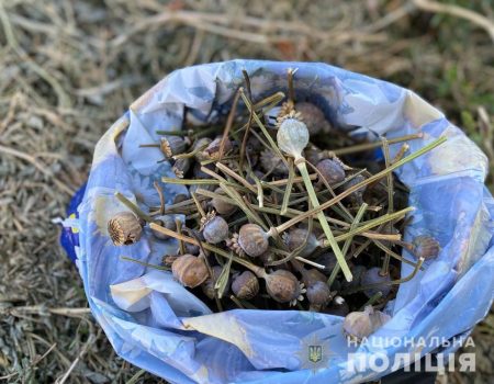 У жителів Кропивницького району знайшли 11 кг макової соломки та 3 кг канабіса. ФОТО