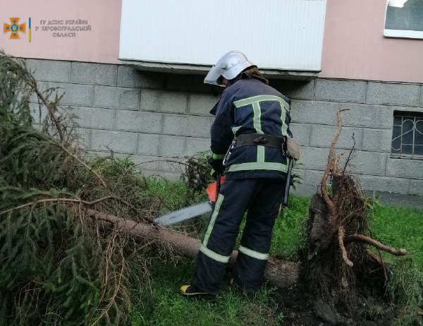 За добу в Кропивницькому прибрали 6 повалених та пошкоджених дерев