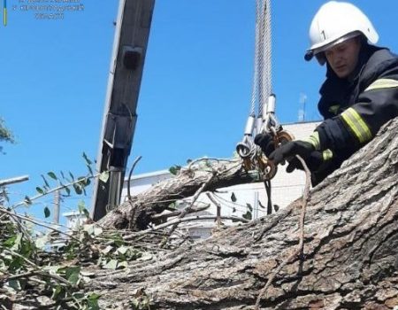 За добу в Кропивницькому прибрали 6 повалених та пошкоджених дерев