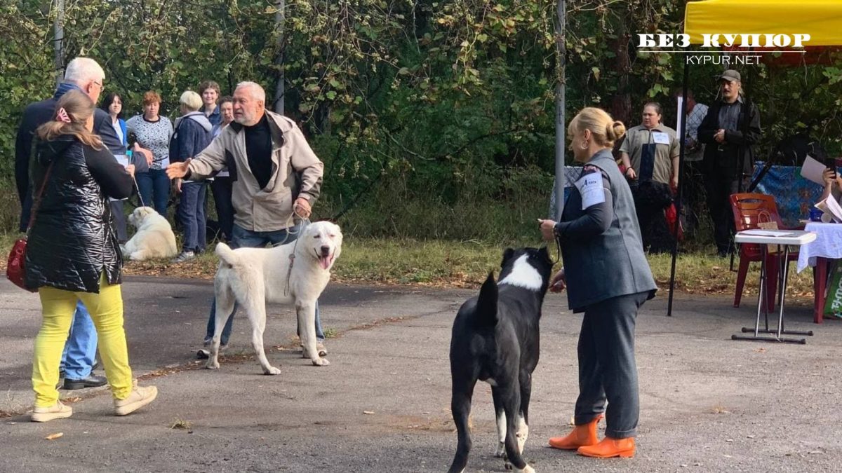 Кіровоградщина: у Світловодську проходить всеукраїнська виставка собак. ФОТО