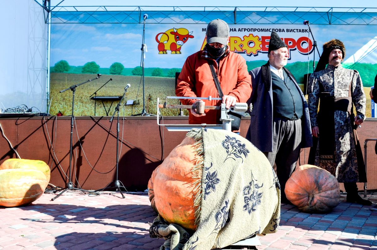 На Кіровоградщині знам&#8217;янчанин виростив 80-кілограмового гарбуза й встановив рекорд. ФОТО