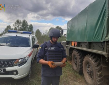 Сапери знищили артснаряди Другої світової війни на Кіровоградщині. ФОТО