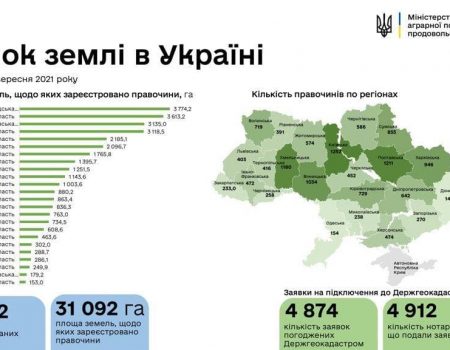 Кіровоградщина лідирує за кількістю проданої землі