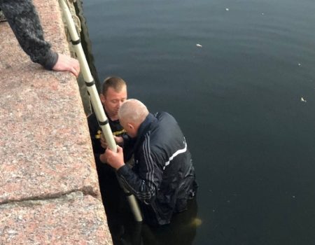 У Кропивницькому госпіталізували чоловіка, який упав із мосту в річку. ФОТО