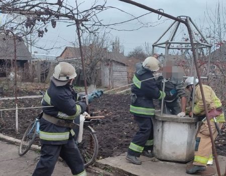 На Кіровоградщині чоловік упав до колодязя рятуючи кота. ФОТО