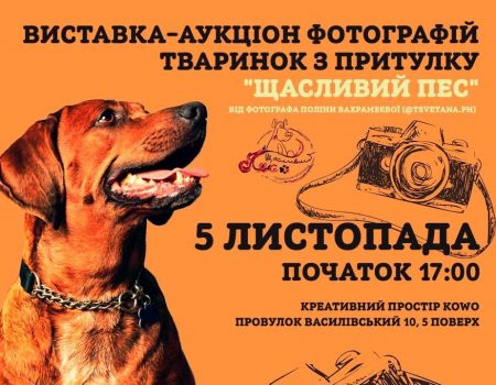 У Кропивницькому відбудеться виставка-аукціон фотографій тварин притулку «Щасливий пес»