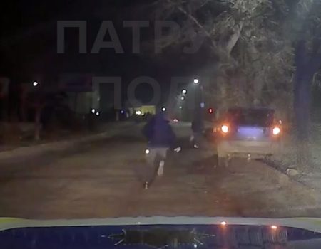 У Кропивницькому п’яний водій авто, тікаючи від патрульних, врізався в дерево. ВІДЕО