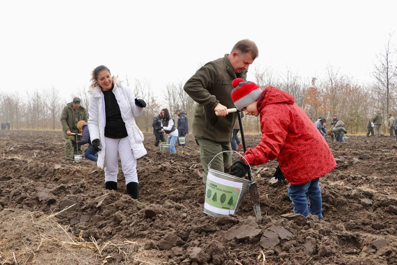 Як Кіровоградщина долучилася до висадження мільярда нових дерев в Україні. ФОТО