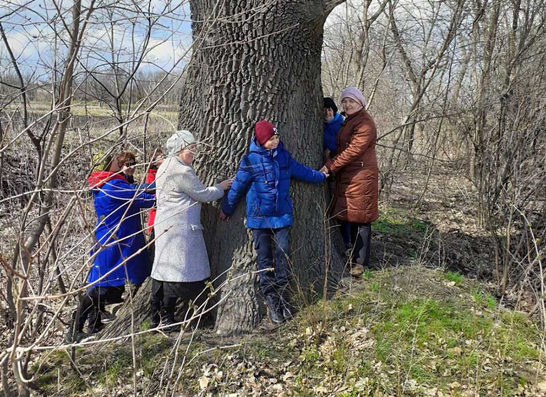 Дуб у Новій Празі на Кіровоградщині хочуть визнати пам’яткою природно-заповідного фонду